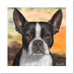 Painting of a Black and White Boston Terrier, with Orange Background Posters and Art